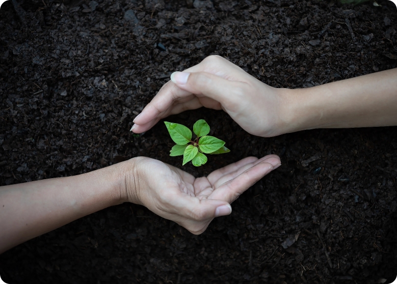 Sustainability Commitment