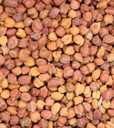 Pigeon Peas